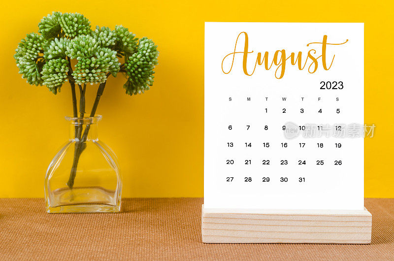 The August 2023 Monthly desk calendar for 2023 year with flower pot on yellow background.